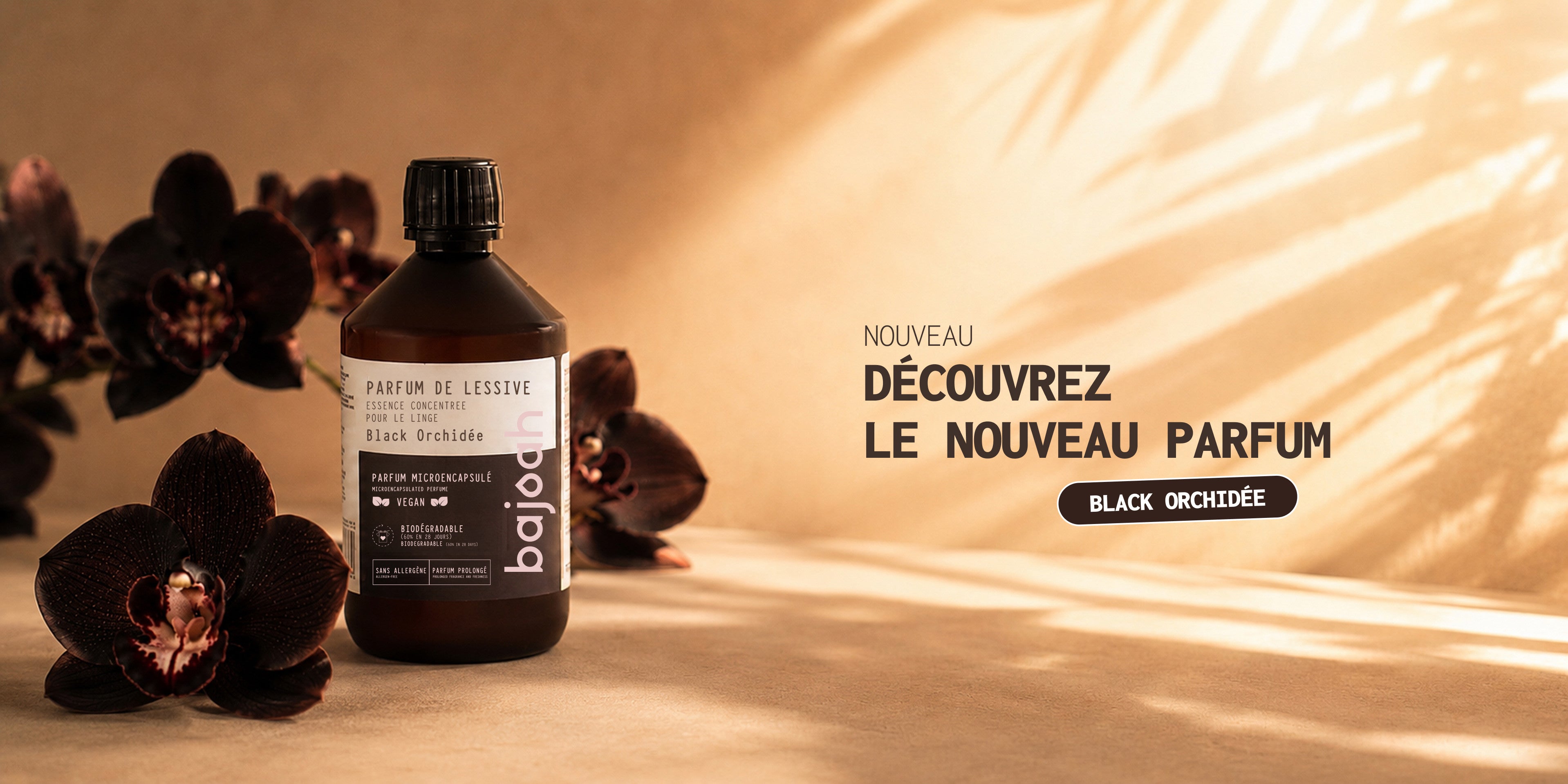 Nouveau parfum Black Orchidée